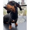 Dachshund adjustable necklace